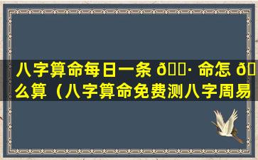 八字算命每日一条 🕷 命怎 🐦 么算（八字算命免费测八字周易算命）